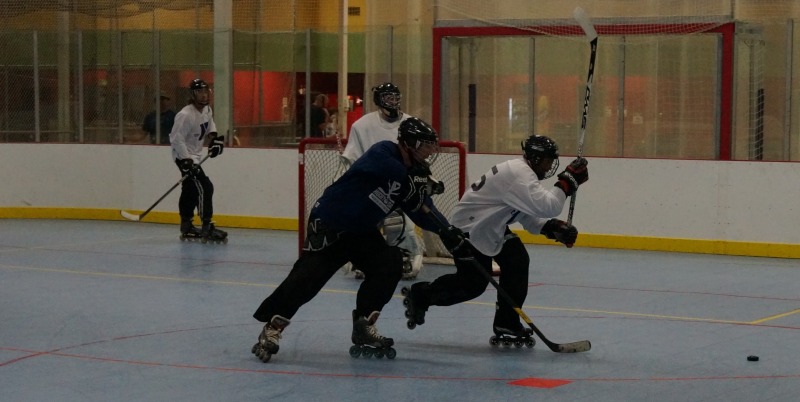 Random Gallery Picture