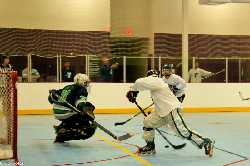 Random Gallery Picture