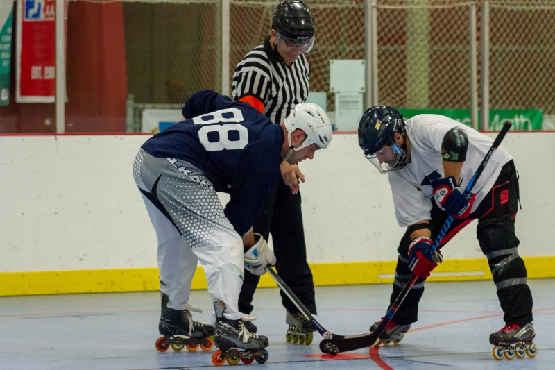 Random Gallery Picture