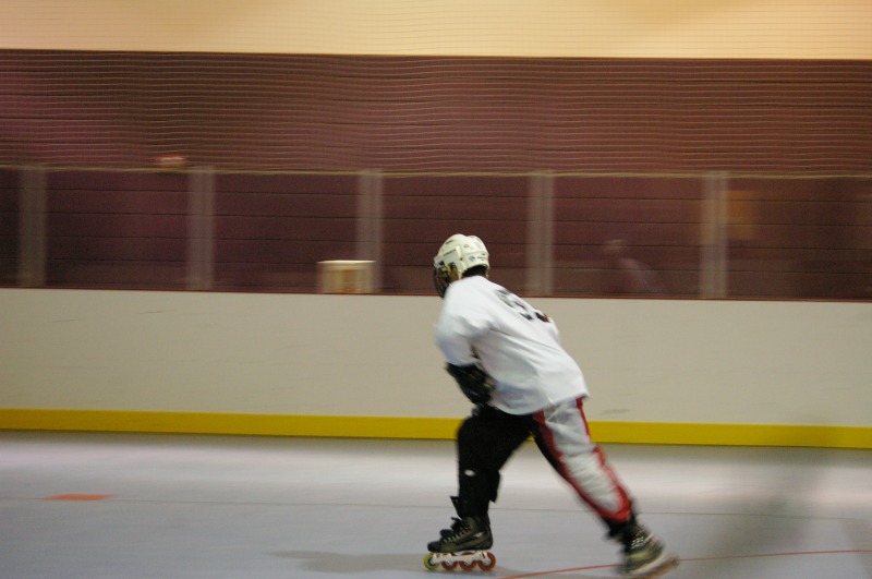 Random Gallery Picture